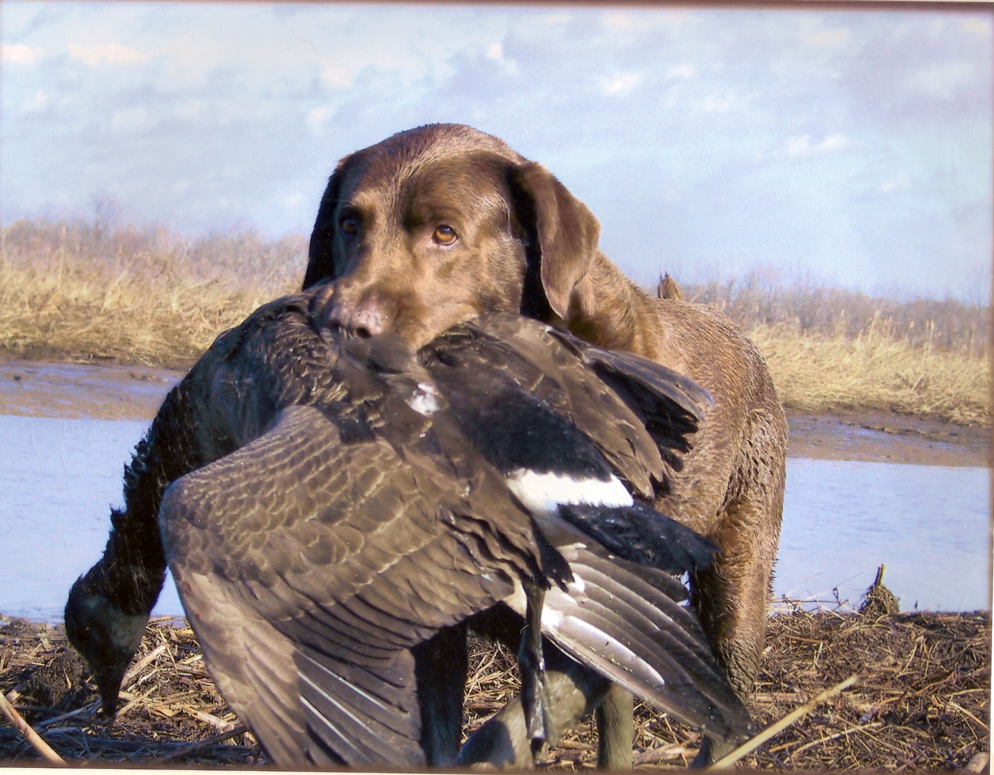 Isportsman Quantico